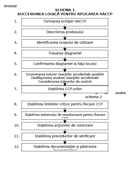 schema logica haccp